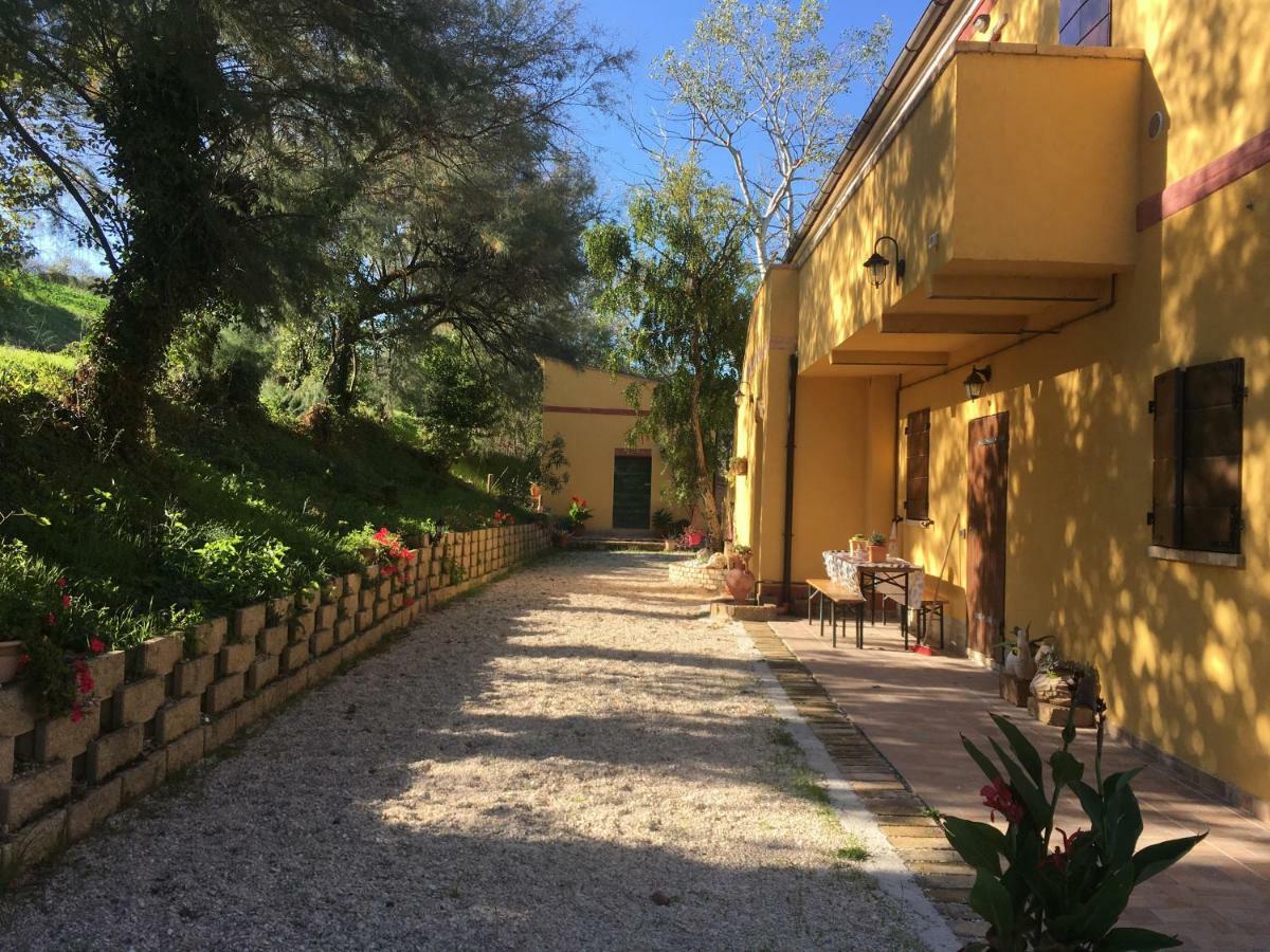 Agriturismo Fattoria Del Colle Jesi Exterior foto